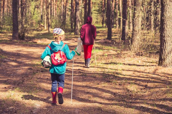 Quelles sont les meilleures pratiques pour camper en forêt tropicale avec des enfants?